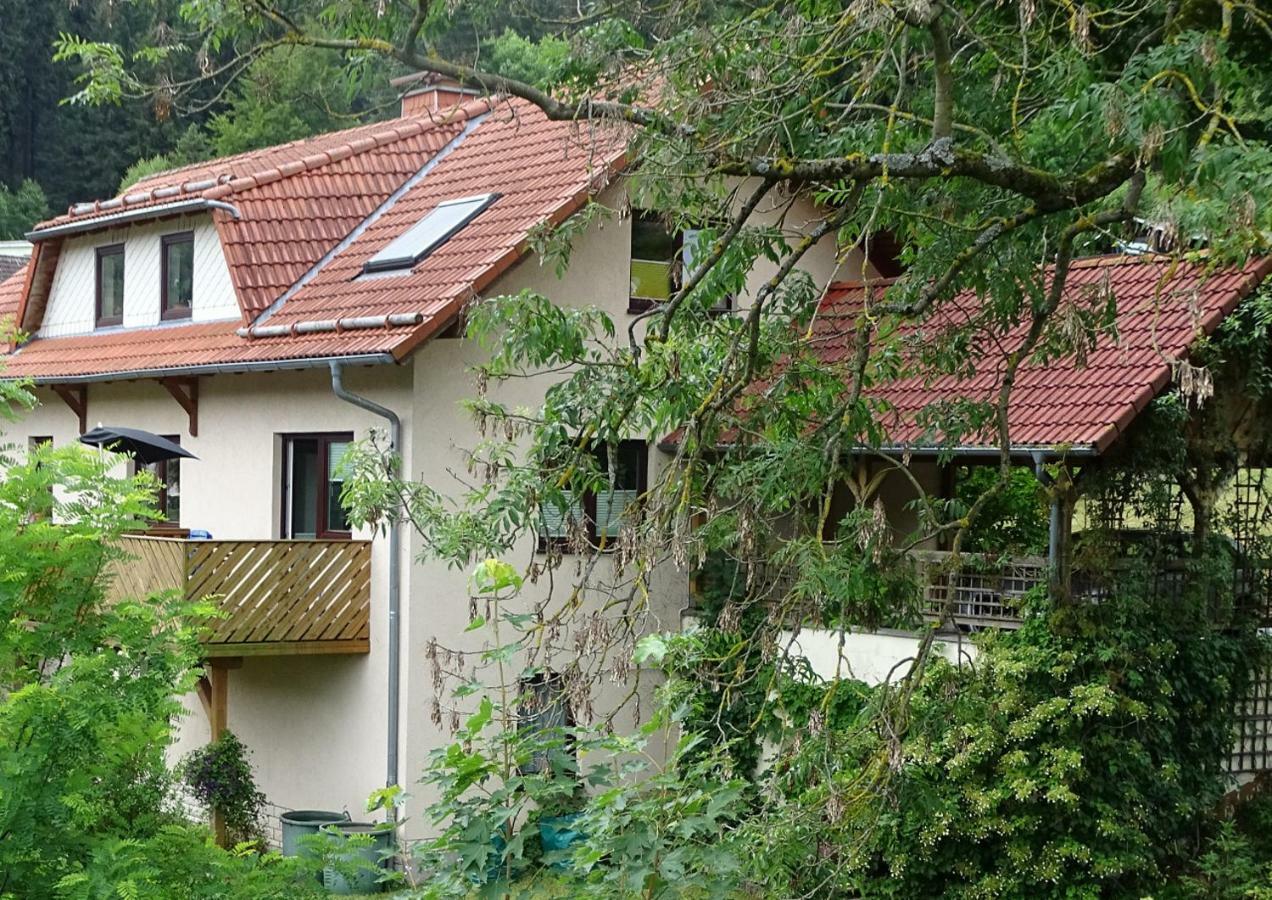 Ferienwohnung Am Berggrabenweg Ilmenau Exterior photo